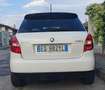 Skoda Fabia 1.6 tdi cr Monte Carlo 75cv - thumbnail 5
