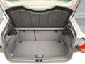 SEAT Ibiza FR Black Edition 1.5 TS DSG  Sitzh. Rückfahrk. Ein Wit - thumbnail 11