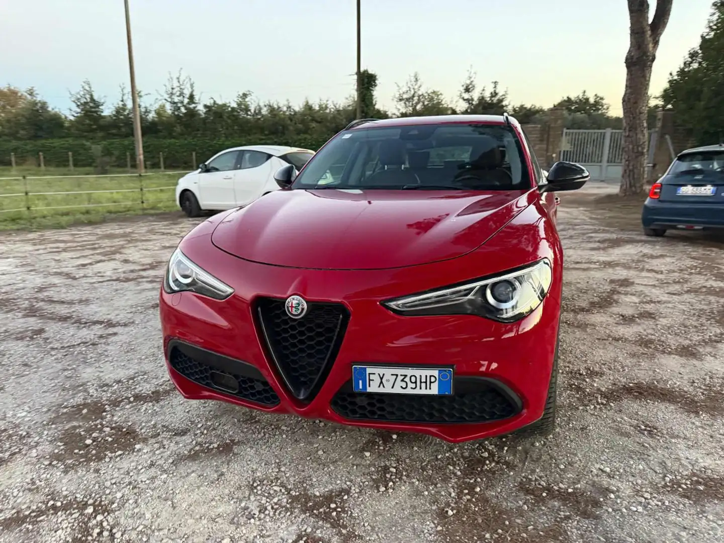 Alfa Romeo Stelvio 2.2 Turbodiesel 190 CV AT8 RWD B-Tech Rouge - 2
