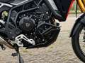 Triumph Tiger 900 Tiger 900 Rally Pro Oranje - thumbnail 8