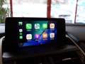 Lexus NX 300 Hybrid Aut. *CARPLAY *ASSISTENZ *LENKRADHZG Grau - thumbnail 33