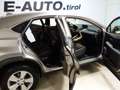 Lexus NX 300 Hybrid Aut. *CARPLAY *ASSISTENZ *LENKRADHZG Grau - thumbnail 9