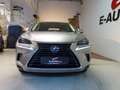 Lexus NX 300 Hybrid Aut. *CARPLAY *ASSISTENZ *LENKRADHZG Grau - thumbnail 3