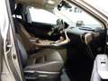 Lexus NX 300 Hybrid Aut. *CARPLAY *ASSISTENZ *LENKRADHZG Grau - thumbnail 11