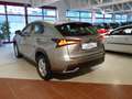 Lexus NX 300 Hybrid Aut. *CARPLAY *ASSISTENZ *LENKRADHZG Grau - thumbnail 5