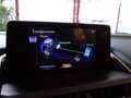 Lexus NX 300 Hybrid Aut. *CARPLAY *ASSISTENZ *LENKRADHZG Grau - thumbnail 38