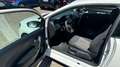 Volkswagen Polo V Trendline 222 TKM 3.Hand Tüv Neu Weiß - thumbnail 9
