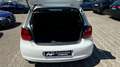 Volkswagen Polo V Trendline 222 TKM 3.Hand Tüv Neu Weiß - thumbnail 15