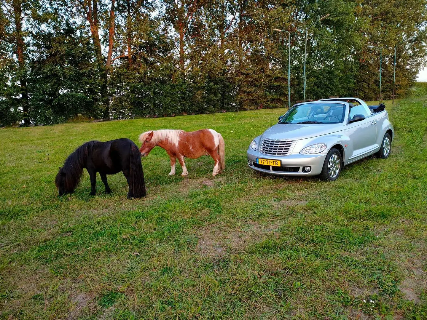 Chrysler PT Cruiser PT Cruiser 2.4i Limited Zilver - 2