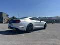 Ford Mustang Fastback 2.3 ecoboost 317cv auto - thumbnail 5