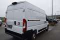 Fiat Ducato Ducato 33 L2H2 140 Weiß - thumbnail 3