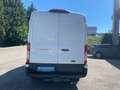 Ford Transit Kastenwagen L2H2 Trend 350 Blanco - thumbnail 4