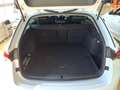 Skoda Octavia Selection 1.5 TSI / Navi, LED, RFK, ACC Weiß - thumbnail 10