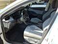 Skoda Octavia Selection 1.5 TSI / Navi, LED, RFK, ACC Weiß - thumbnail 7