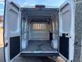 Fiat Ducato Maxi 35QLI  Mjt3 140cv E6D-final l2h2 Bianco - thumbnail 11