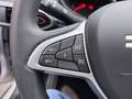 Dacia Sandero III Stepway Expression TCe 100 ECO-G  LPG Grau - thumbnail 12