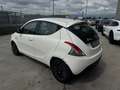 Lancia Ypsilon Ypsilon 1.2 8v Silver c/clima 69cv Bianco - thumbnail 4