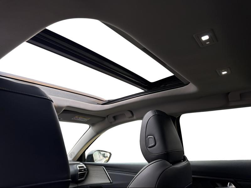Citroen C5 X 1.6 Hybrid 225 e-EAT8 Shine Pa — photo 10