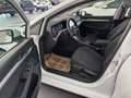 Volkswagen Golf Variant 2,0TDI DSG Life *LED*NAVI*ACC*Sitzheizung*Virtu... Weiß - thumbnail 11