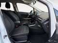 Ford EcoSport Cool & Connect Navi Kamera Blanc - thumbnail 8