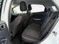 Ford EcoSport Cool & Connect Navi Kamera Blanc - thumbnail 10