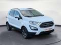 Ford EcoSport Cool & Connect Navi Kamera Blanc - thumbnail 2