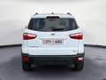 Ford EcoSport Cool & Connect Navi Kamera Blanc - thumbnail 5