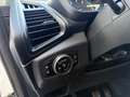 Ford EcoSport Cool & Connect Navi Kamera Blanc - thumbnail 17