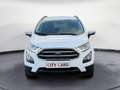 Ford EcoSport Cool & Connect Navi Kamera Blanc - thumbnail 3