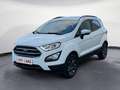 Ford EcoSport Cool & Connect Navi Kamera Blanc - thumbnail 1
