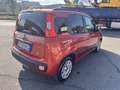 Fiat Panda 1.2 Easy 69cv - thumbnail 2