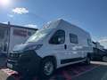 Fiat Ducato Maxi L5H3 Wohnmobil Exclusive Solaranlage Blanc - thumbnail 2