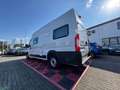 Fiat Ducato Maxi L5H3 Wohnmobil Exclusive Solaranlage Blanc - thumbnail 5