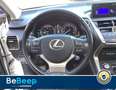 Lexus NX 300h 300H 2.5 LUXURY 4WD CVT Bianco - thumbnail 9