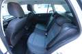 Skoda Fabia Combi Best of Navi LED DAB Carplay Blanco - thumbnail 12