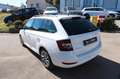 Skoda Fabia Combi Best of Navi LED DAB Carplay Blanco - thumbnail 7