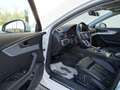 Audi A4 allroad quattro 3.0TDI S-Tronic 160kW Blanco - thumbnail 14