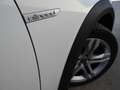 Audi A4 allroad quattro 3.0TDI S-Tronic 160kW Blanco - thumbnail 13