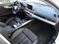 Audi A4 allroad quattro 3.0TDI S-Tronic 160kW Blanco - thumbnail 45