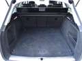 Audi A4 allroad quattro 3.0TDI S-Tronic 160kW Blanco - thumbnail 39