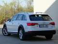 Audi A4 allroad quattro 3.0TDI S-Tronic 160kW Blanco - thumbnail 10