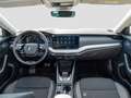 Skoda Octavia Combi 2.0 TDI DSG Tour Business Columbus Weiß - thumbnail 10