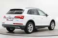 Audi Q5 40 TFSI quattro S tronic LED Kam. SHZ Carplay Weiß - thumbnail 9