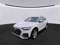 Audi Q5 40 TFSI quattro S tronic LED Kam. SHZ Carplay Weiß - thumbnail 2