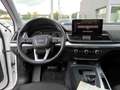Audi Q5 40 TFSI quattro S tronic LED Kam. SHZ Carplay Weiß - thumbnail 11