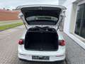 Volkswagen Golf 1.5 eTSI OPF Life DSG RFK, APP Bluetooth LED Weiß - thumbnail 7