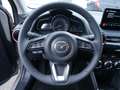 Mazda 2 e-SKYACTIV-G 90 KLIMA PDC SHZ KAMERA LED Grau - thumbnail 7