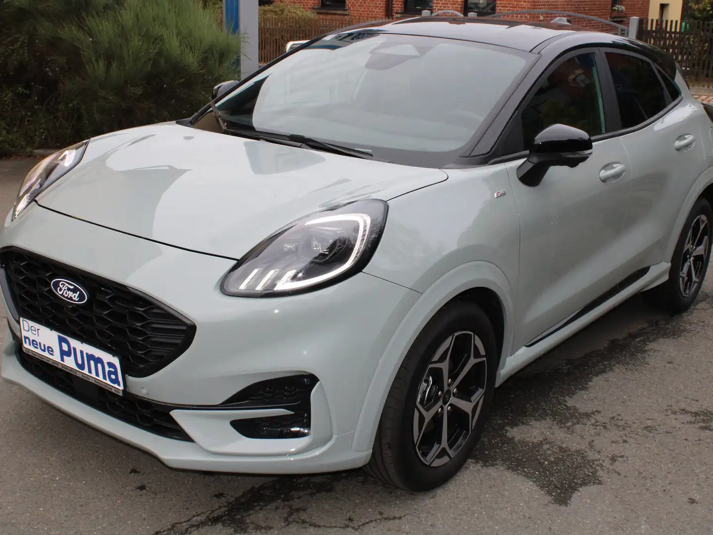 Ford Puma ST-Line/LED-Matrix-Scheinwerfer/Winter-Paket Grau - 1