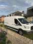 Ford Transit koel- en vrieswagen tot -22* C - thumbnail 2