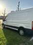 Ford Transit koel- en vrieswagen tot -22* C - thumbnail 5